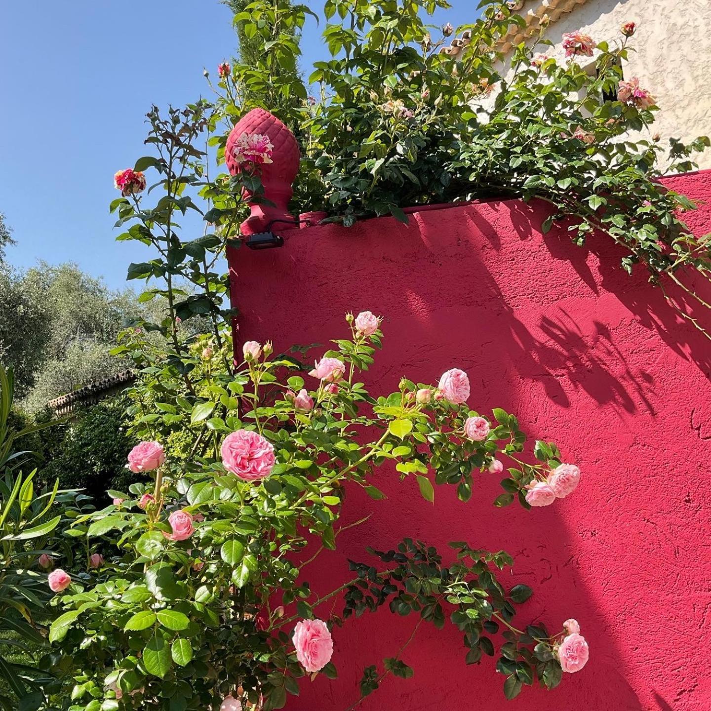 Hotel Mas De Provence En Riviera La Roquette-sur-Var Esterno foto