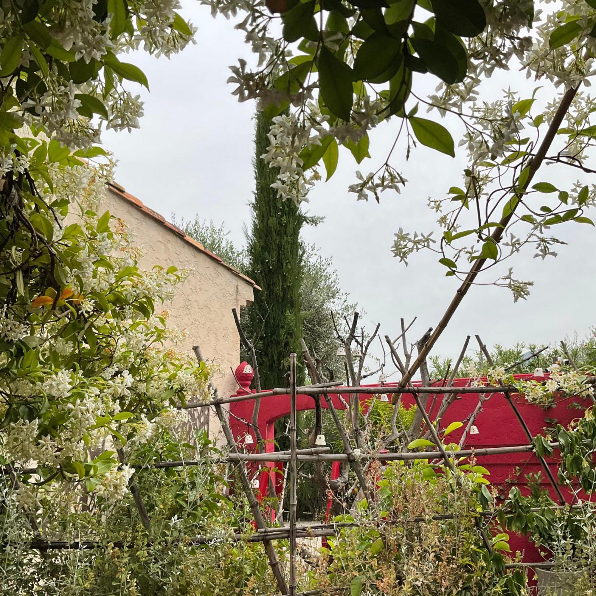 Hotel Mas De Provence En Riviera La Roquette-sur-Var Esterno foto
